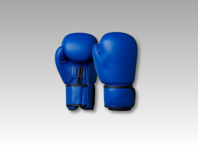 Competition / Fight Gloves
